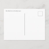 Ibex Herd Grazing in Sierra de Gredos, Spain ポストカード (裏面)