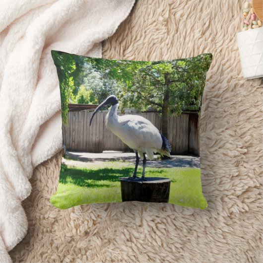 Ibis on a Tree Stump クッション (ブランケット)