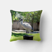 Ibis on a Tree Stump クッション (裏面)