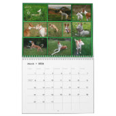 Ibizan猟犬のカレンダー カレンダー (3月 2026)