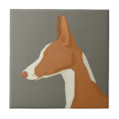Ibizan Hound タイル (正面)