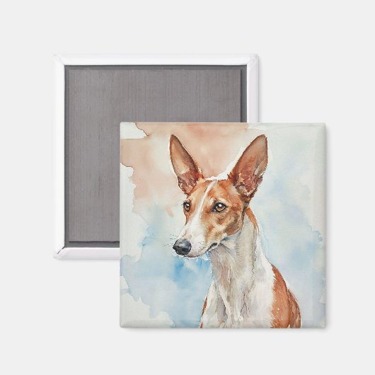 Ibizan Hound Acrylic Photo Tile マグネット (正面/裏面)