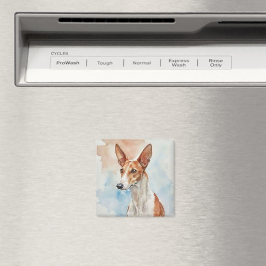 Ibizan Hound Acrylic Photo Tile マグネット (インサイチュ (食洗機))