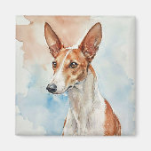 Ibizan Hound Acrylic Photo Tile マグネット (正面)