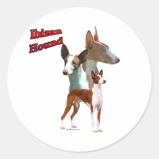 Ibizan Hound Trio 2 – シール (正面)