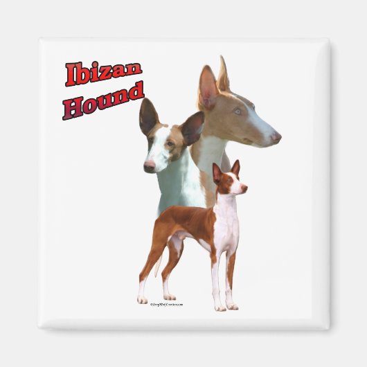 Ibizan Hound Trio 2 – マグネット (正面)