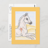 Ibn Shai Hulud ポストカード (正面/裏面)