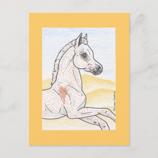 Ibn Shai Hulud ポストカード (正面)