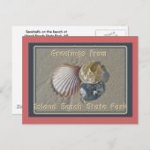IBSPシーサイドパークNJからのシーシェルの挨拶 ポストカード (正面/裏面)