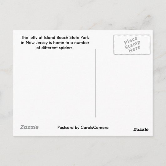 IBSP Jetty Spiderはがき ポストカード (裏面)