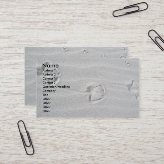 IBSP Seagullが名刺を追跡 名刺 (正面/裏面インサイチュ)