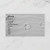 IBSP Seagullが名刺を追跡 名刺 (正面)