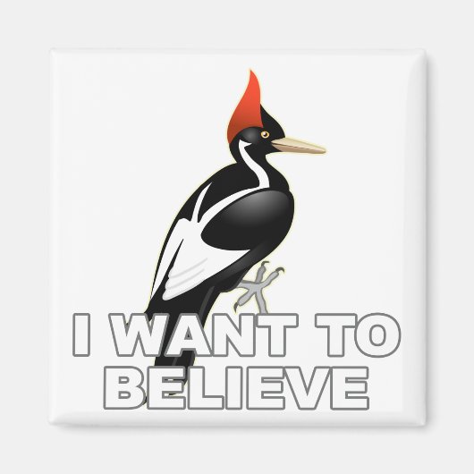 IBWO：やりたい信じ マグネット (正面)