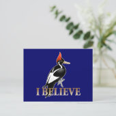 IBWO:信じ I  ポストカード (スタンド正面)