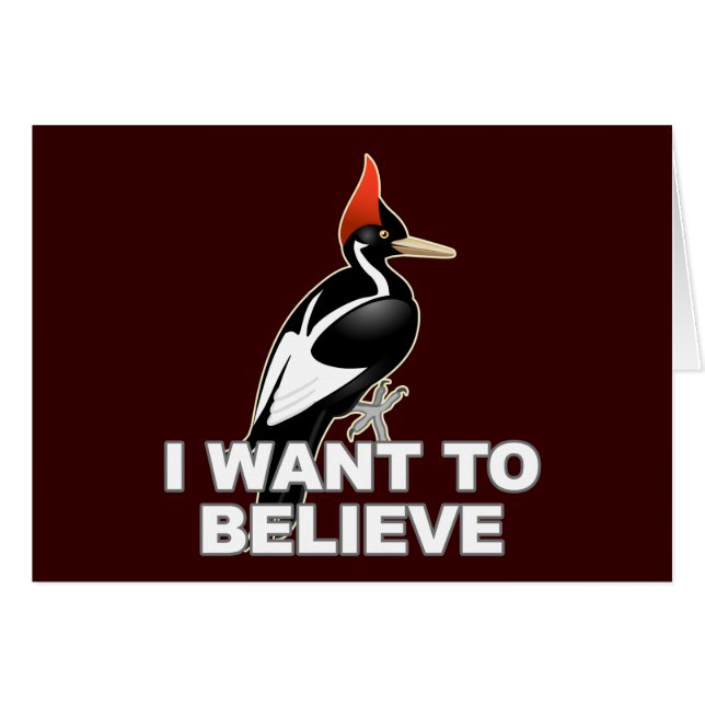 IBWO: 私は信じたいと思います (正面横)