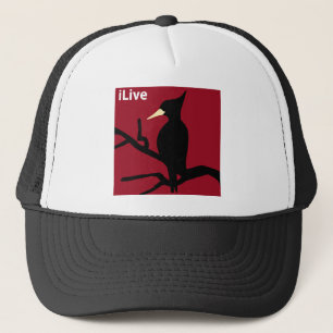 IBWO:iLive キャップ