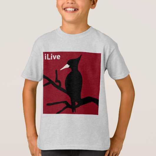 IBWO: iLive Tシャツ (正面)