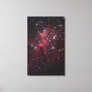 IC1805のコアクラスタMelotte-15 キャンバスプリント