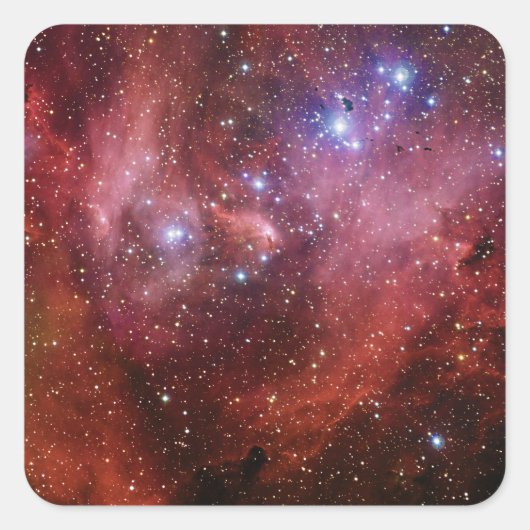 IC 2944ランニングのチキン星雲ラムダ星雲 スクエアシール (正面)
