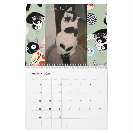 iCatzの特別なモーメントのカレンダー カレンダー (3月 2026)