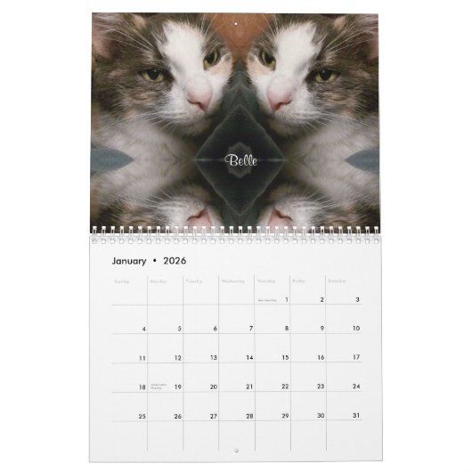 iCatzの特別なモーメントのカレンダー カレンダー (1月 2026)