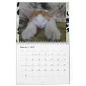 iCatzの特別なモーメントのカレンダー カレンダー (2月 2027)