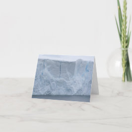 Ice cliffs, Nekko Harbor card シーズンカード