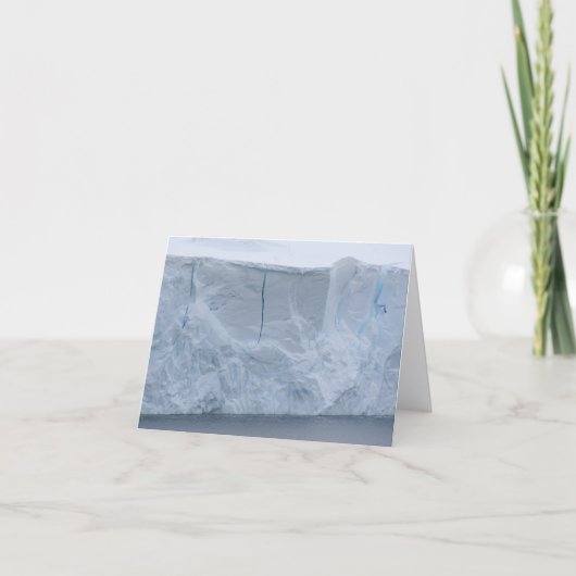 Ice cliffs, Nekko Harbor card シーズンカード (正面)