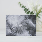 Ice Crystal自然フォトカード (スタンド正面)