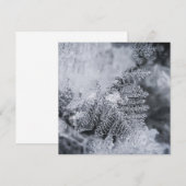 Ice Crystal Nature Photo Card (正面/裏面)