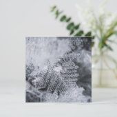 Ice Crystal Nature Photo Card (スタンド正面)