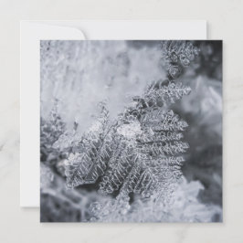 Ice Crystal Nature Photo Card