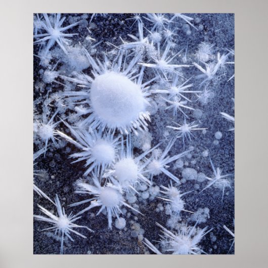 Ice crystals in the Sierra ポスター (正面)