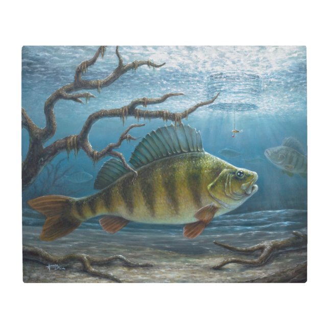 Ice Fishing for Perch メタルプリント (正面)