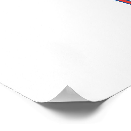 ice hockey rink graphic ポスター (角)