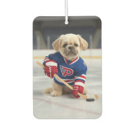 Ice & Nice Air Freshener カーエアーフレッシュナー