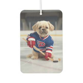 Ice & Nice Air Freshener カーエアーフレッシュナー