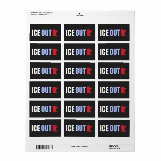 ICE OUT Anti Trump ラベル (フルシート)