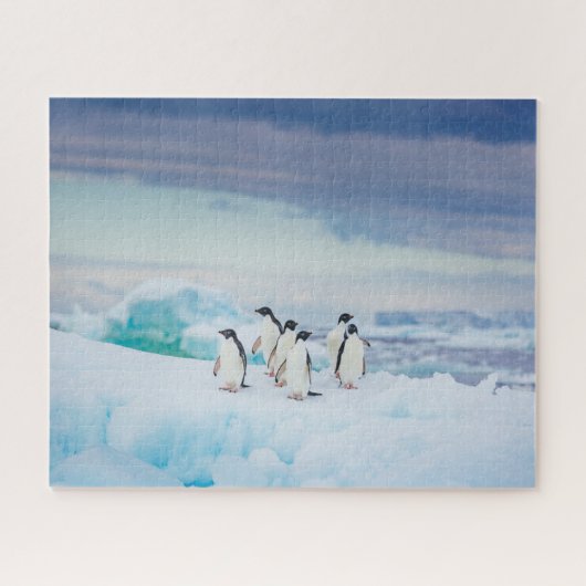 Ice & Snow | Adelie Penguins Antarctica ジグソーパズル (横)