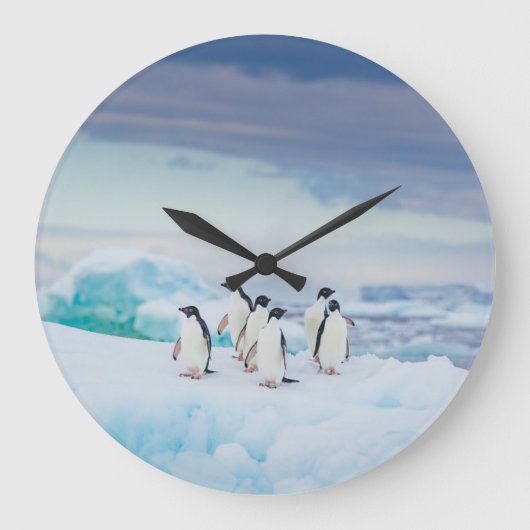 Ice & Snow | Adelie Penguins Antarctica ラージ壁時計 (正面)