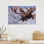 Ice & Snow | Grand Teton National Park, Wyoming ポスター (キッチン)