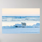 Ice & Snow | Polar Bear Iceberg Norway ポスター (正面)