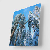 Ice & Snow | Sequoia National Park, California スクエア壁時計 (傾斜)