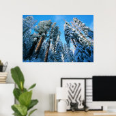 Ice & Snow | Sequoia National Park, California ポスター (ホームオフィス)