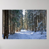 Ice & Snow | Tatra Mountains, Poland ポスター (正面)