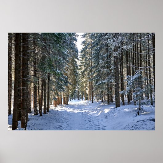 Ice & Snow | Tatra Mountains, Poland ポスター (正面)