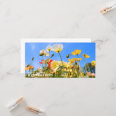 Iceland Poppy カード (正面/裏面インサイチュ)