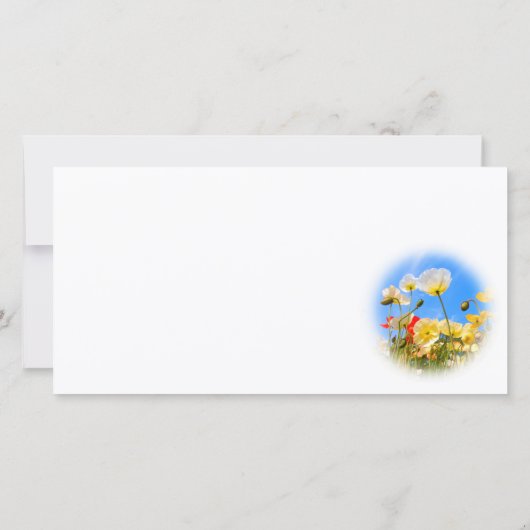 Iceland Poppy カード (裏面)