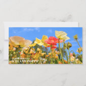 Iceland Poppy カード (正面)