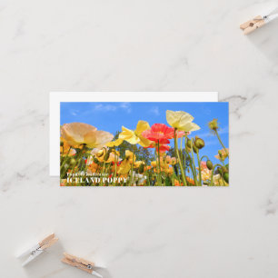 Iceland Poppy カード